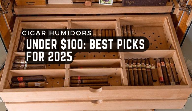 Cigar Humidors Under $100: Best Picks for 2025