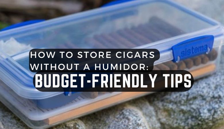 How to Store Cigars Without a Humidor: Budget-Friendly Tips