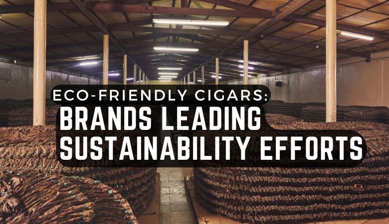 Eco-Friendly Cigars: Brands Leading Sustainability Efforts