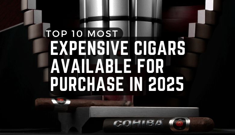 Top 10 Most Expensive Cigars Available for Purchase in 2025