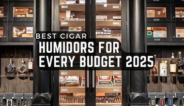 Best Cigar Humidors for Every Budget 2025
