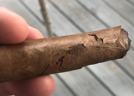 Cigar Plume vs Mold: How to Tell the Difference (with Photos)