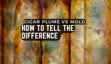 Cigar Plume vs Mold: How to Tell the Difference (with Photos)