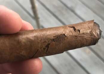Cigar Plume vs Mold: How to Tell the Difference (with Photos)