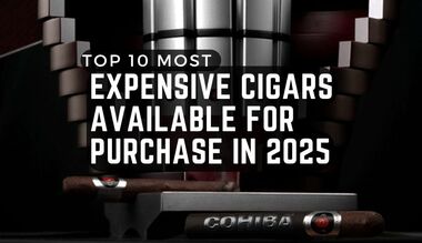 Padron Family Reserve Collection: The Luxury Tier Explained
